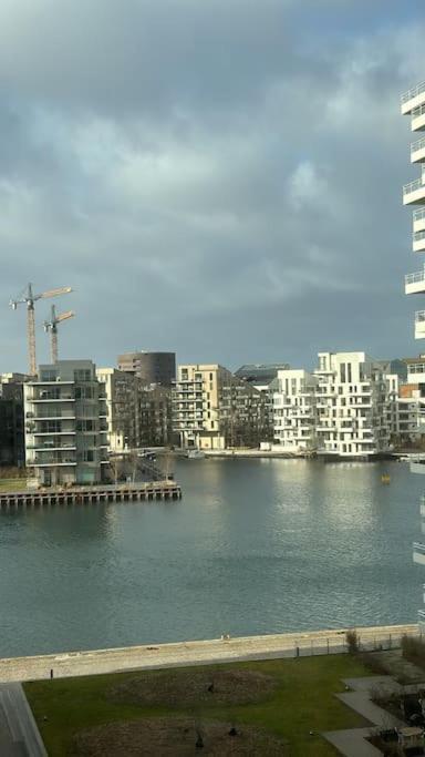 Appartement Amazing By The Beach *